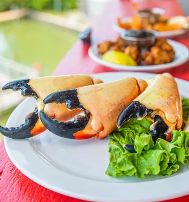 Cooked stone crab claws on a plate with lettuce garnish