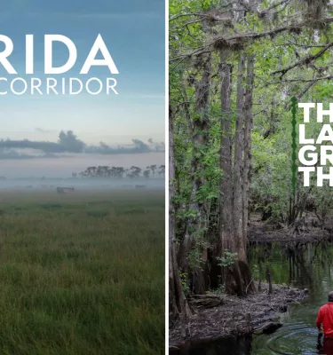 Two photos. One of a man on horseback in a grass field and the other of 3 people walking through water in an outside nature creek.
