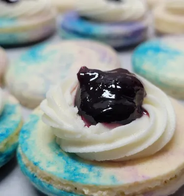 Zoomed-in photo of a blueberry macaron. 