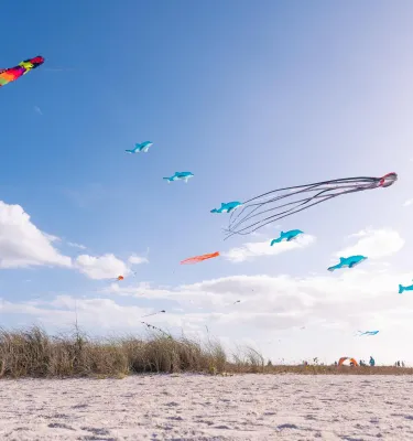 Kites fly over a wide white-sand beach with sea oats in the background