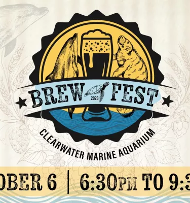 Digital event flyer of Brew Fest at CMA featuring event times and pint of beer.