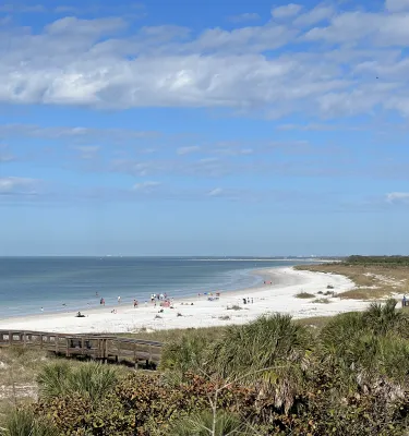 Photo of a beach during the day with blue skies, white sand and green trees.