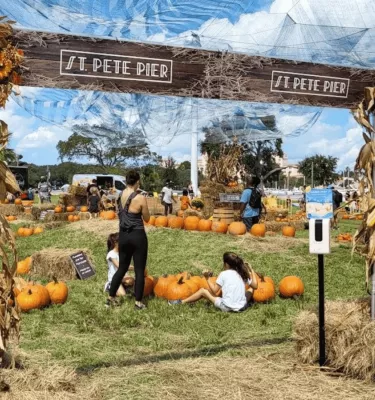 Photo of a daytime pumpkin fest featuring pumpkins and two ladies sitting in the grass.