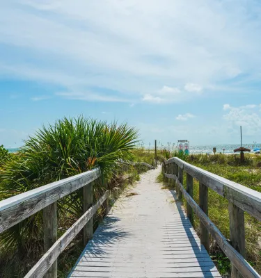 Spazieren Sie durch üppige Vegetation und Dünen zum St. Pete Beach
