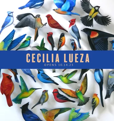 Cecilia Lueza art discography poster featuring multiple colored birds forming a circle shape.