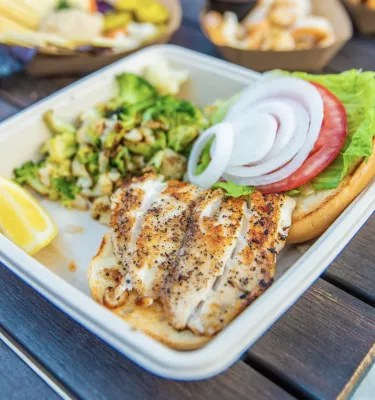 fish on a plate