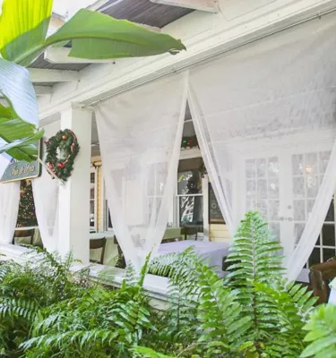 a front porch surrounded by lush ferns and accented by gauzy white curtains