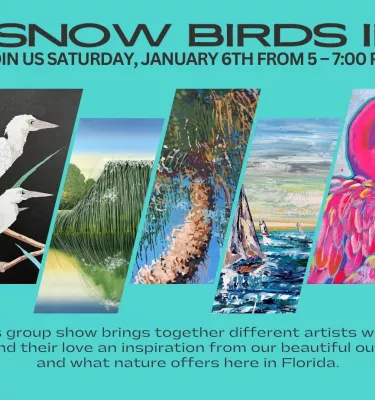 Snow Birds II exhibit featuring many different drawings of birds.