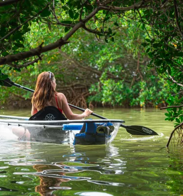 a woman with long hair paddling a clear kayak through mangroves