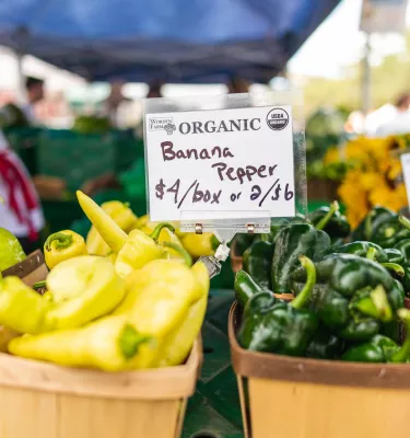 small baskets of different color peppers at a local farmers market