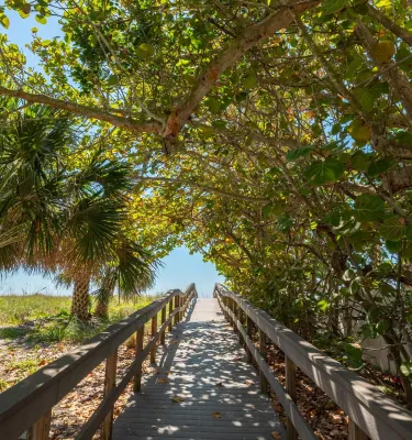 a lush canopy over a boardwalk to the beach in Treasure Island