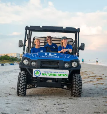 CMA Turtle Patrol