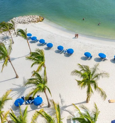 aerial view of swaying palm trees, blue umbrellas and white sand beach with rocks on the left side
