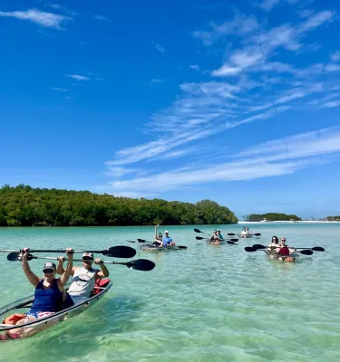 A pod of kayakers