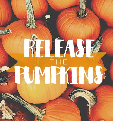 Patch of orange pumpkins.