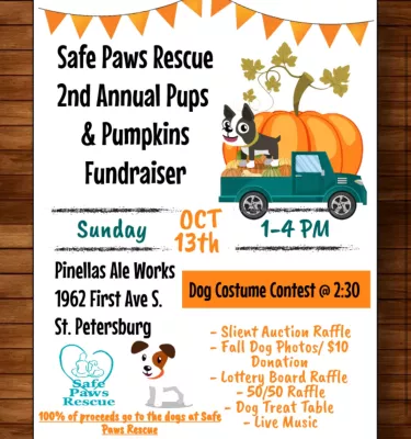 Safe Paws 2nd Annual Pups & Pumpkins Fundraiser poster.
