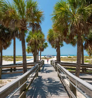 A beach boardwalk shaded by palm trees at Sand Key Park on a sunny day.
