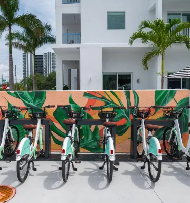 bike share bicycles parked in front of a small tropical mural