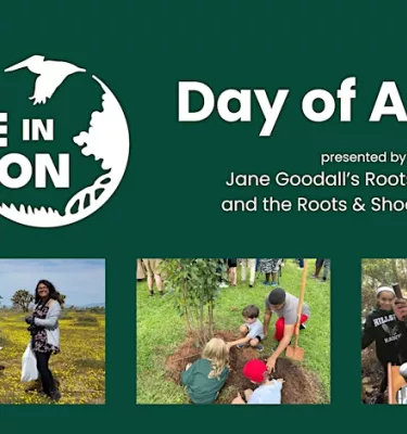 Day of Action beach clean up event flyer poster.