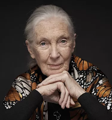 Dr. Jane Goodall conservationaist headshot.