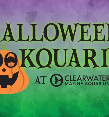 Halloween Spookquarium event flyer poster.
