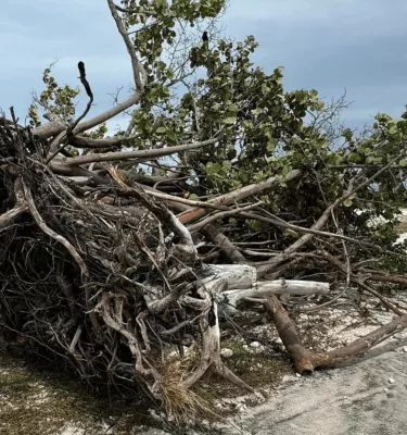 Hurricane Milton debris on the beach.