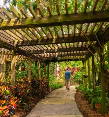 walking path