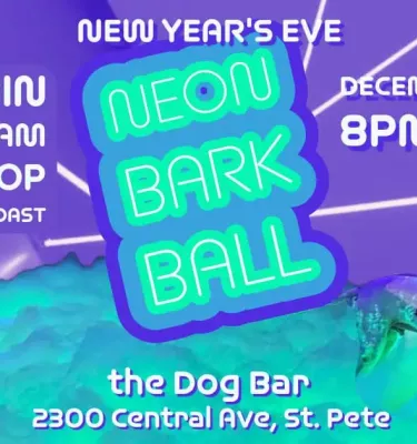 Neon Bark Ball featuring adults with their pet dogs in a neon glow setting.