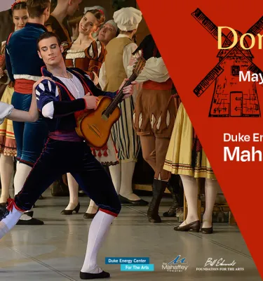 International ballet group Don Quixote performing on stage.