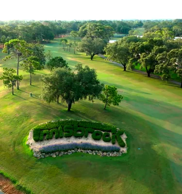 palm harbor