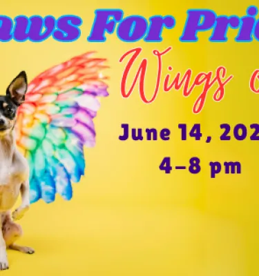 Paws For Pride at Dog Bar St. Pete featuring a dog with colorful wings.