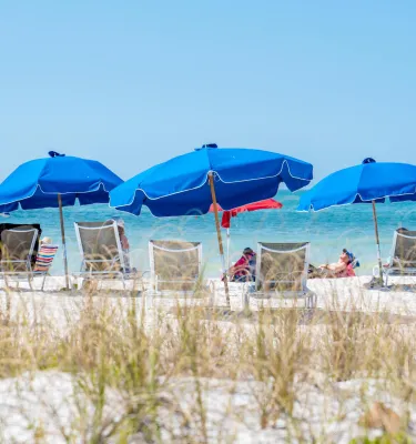 blue beach umbrellas on beach with dune grasses in the forefront