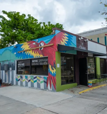 parrot mural 