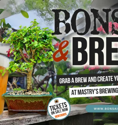 Bonsai and Brews event flyer poster featuring green plants and a glass of beer.