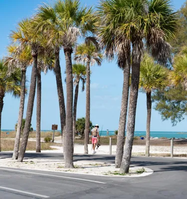 a man walking from the parking lot toward Sand Key Park and beach; there are many palm trees nearby