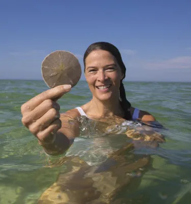 a woman holds a live sand dollar in her hand while standing in shoulder-deep water at Shell Key Preserve