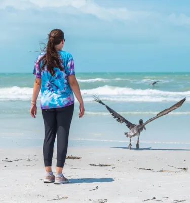a woman stands near a pelican that's been rehabilitated and now released from Seaside Seabird Sanctuary