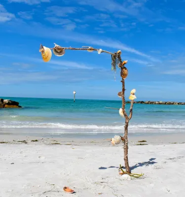 a branch placed in the sand with shells adorning it at Upham Beach