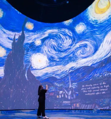 Van Gogh Alive 360 exhibit at the Dali Museum featuring a woman standing in a 360 room with artwork surrounding her.