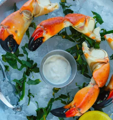 a metal plate with stone crab claws resting on ice