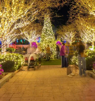 people strolling through Holiday Lights in the Gardens at Florida Botanical Gardens in Largo