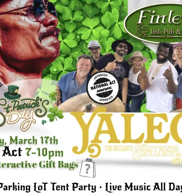 St. Patricks Day Music Festival event flyer.