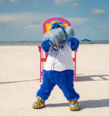 Raymond, the Tampa Bay Rays mascot, plays on the beach at Treasure Island