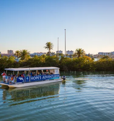Tropical Family Cruise
