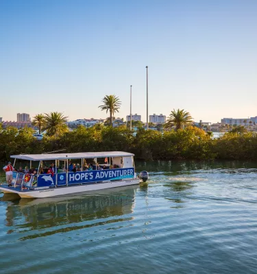 Tropical Family Cruise