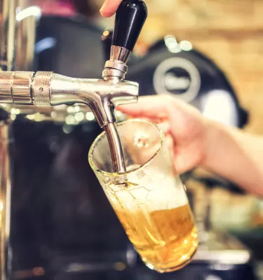 St Pete Brewery Biking Tour