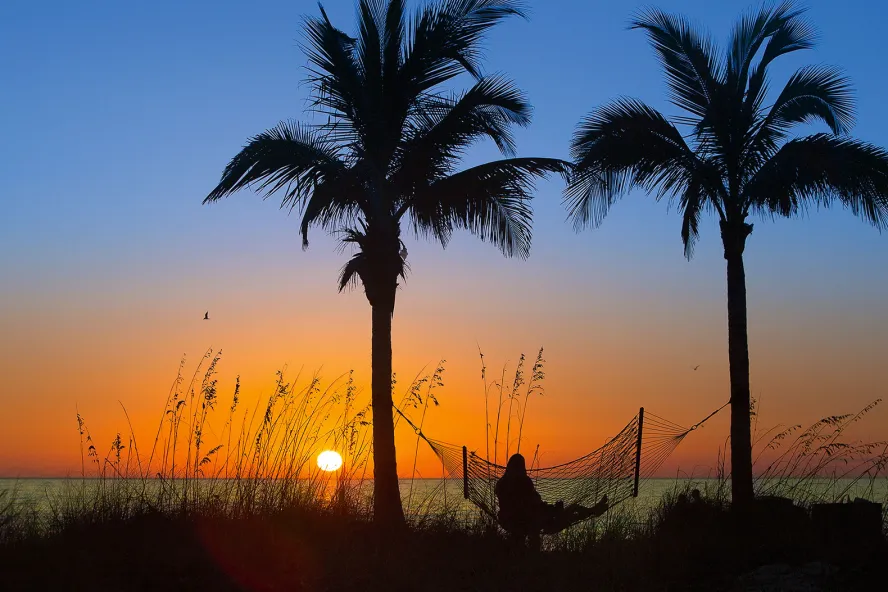 A lady in a hammock between two pine trees enjoying the sunset in Madeira Beach