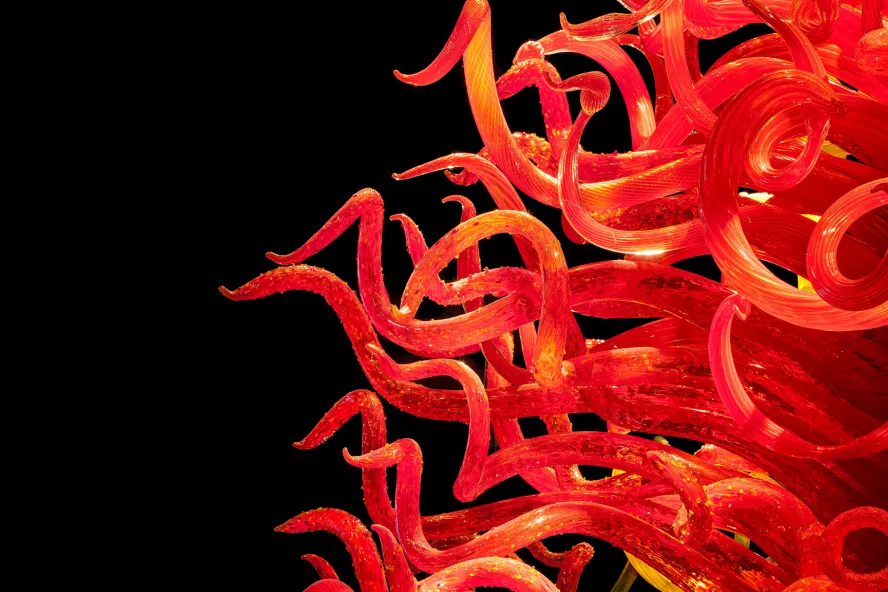 Nahaufnahme einer verdrehten roten Glasskulptur von Dale Chihuly in der Chihuly Collection in St. Pete