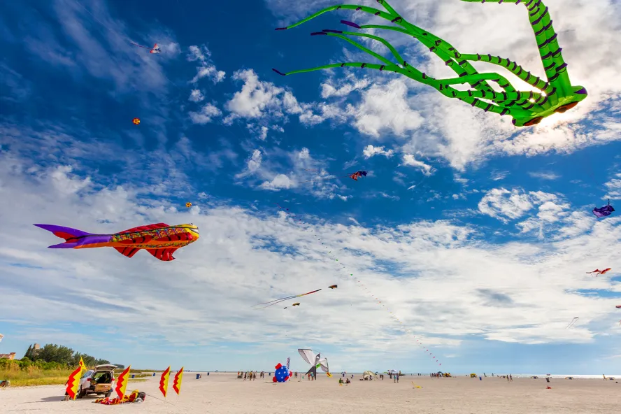 Kite fest in Treasure Island