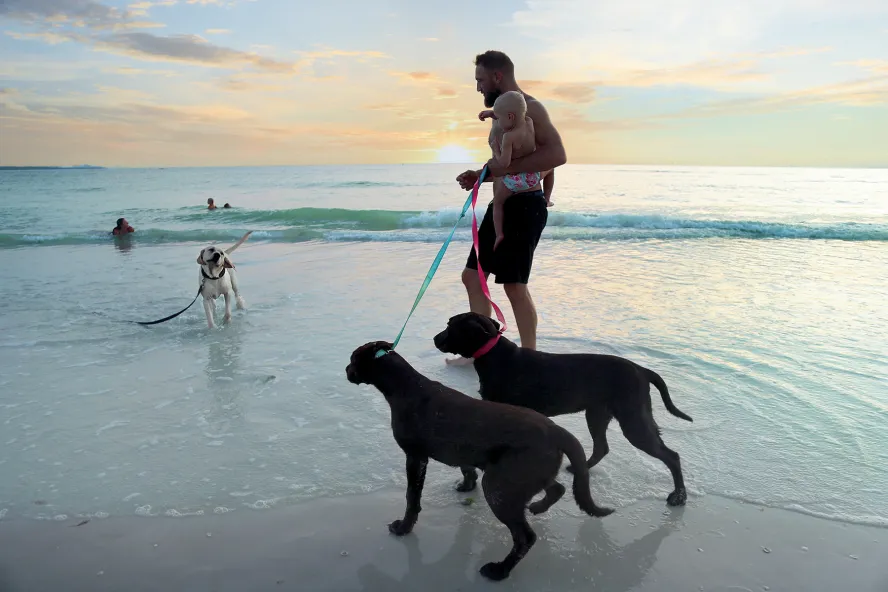 A man and his two dogs greet another dog at Honeymoon Island